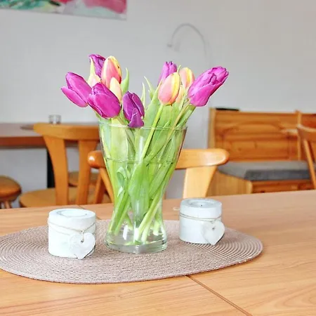 An Der Kamske, 3bz 2 게스트하우스